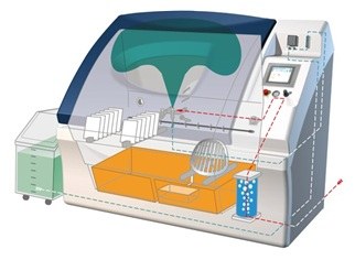 Camara de corrosion ciclica ASCOTT