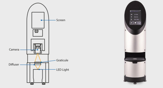 Rhopoin ID esquema Rhopoin ID esquema